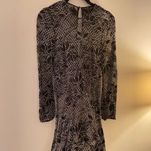 Brand new ZARA sheer dress (no tags)